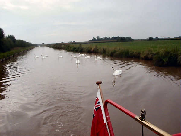 heading north on Shropshire Union near Gnosall