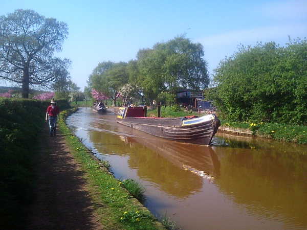 Pair of working boats on Trent and Mersey canal