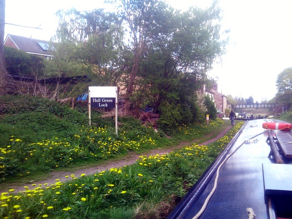 Canal towpath with lots of dandelions