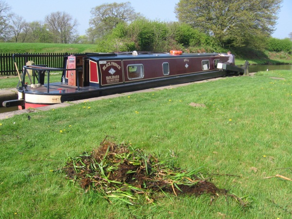 Pile of weeds taken from a canal lock