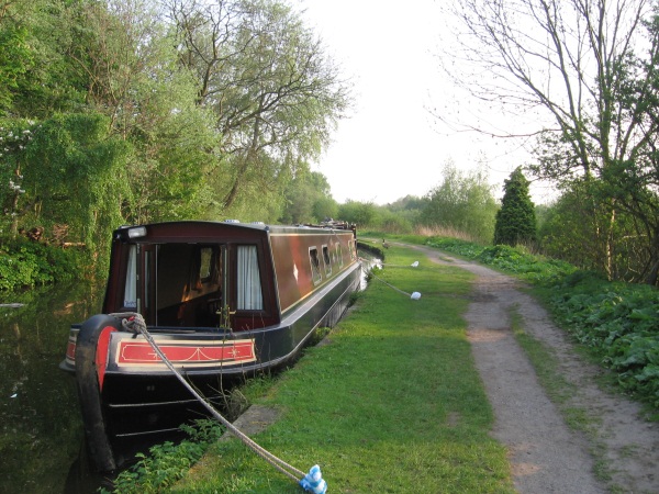 Narrowboat moored in wooded section of canal