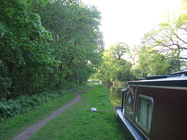 Narrowboat moored in wooded stretch of canal