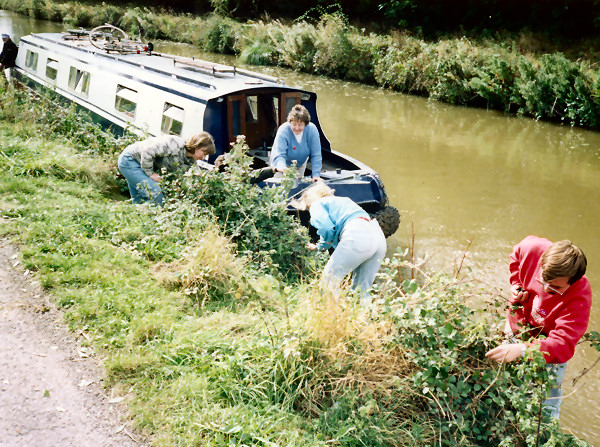Bramble picking by canal