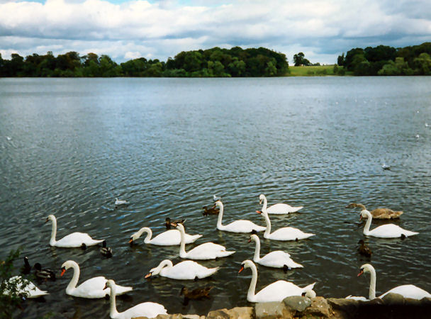 Ellesmere